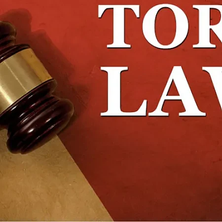 What is tort law ?