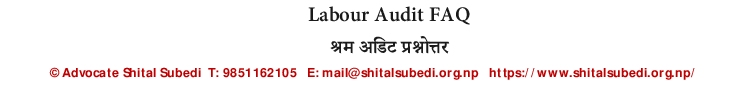 Labour Audit